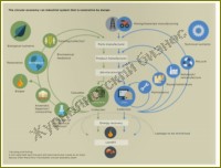 Биржевые органы